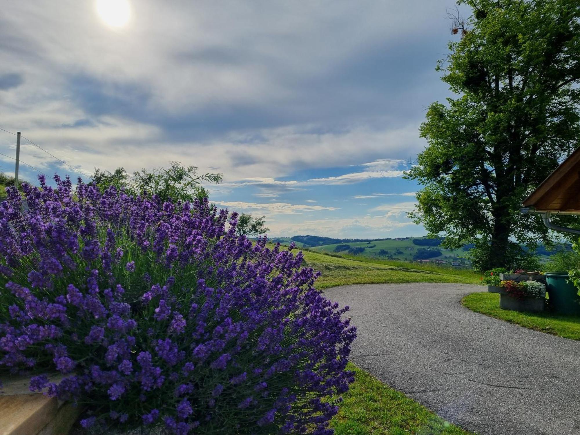 Unterbrandlberg Steinbach an der Steyr Exterior foto